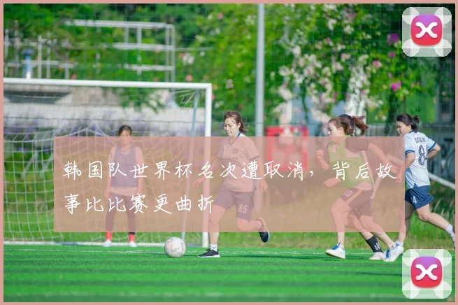 韩国队世界杯名次遭取消，背后故事比比赛更曲折