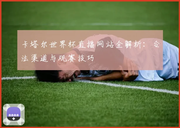 卡塔尔世界杯直播网站全解析：合法渠道与观赛技巧