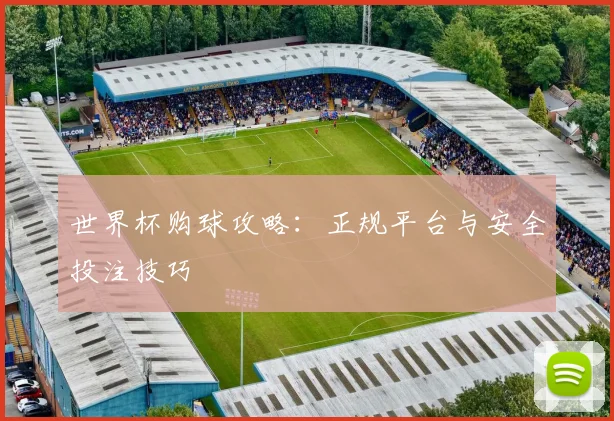 世界杯购球攻略：正规平台与安全投注技巧