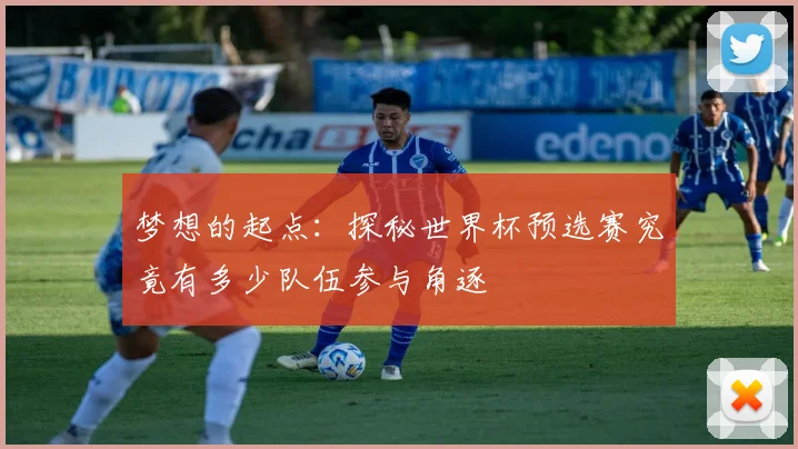 梦想的起点：探秘世界杯预选赛究竟有多少队伍参与角逐