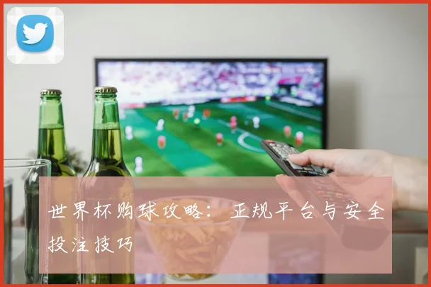 世界杯购球攻略:正规平台与安全投注技巧
