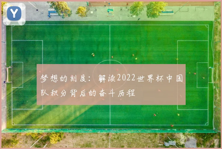 梦想的刻度：解读2022世界杯中国队积分背后的奋斗历程